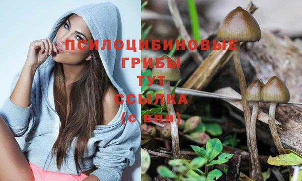 молекула духа Балахна