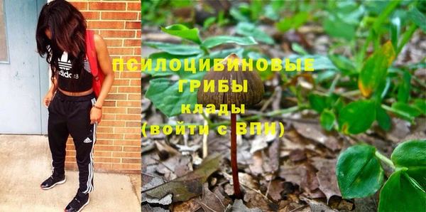 молекула духа Балахна